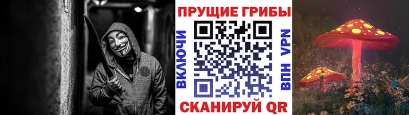 купить наркотики сайты Давлеканово Псилоцибиновые грибы мицелий